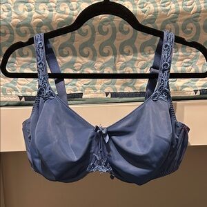 Elegant Blue Lace Trim Bra